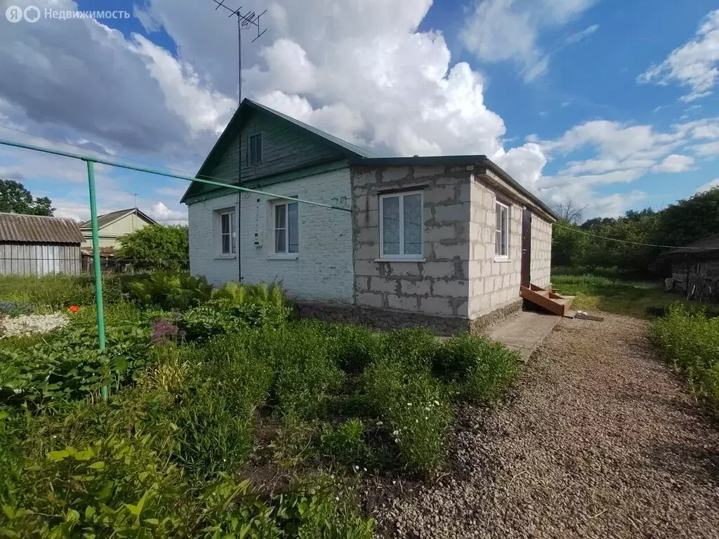Дом в село Ленино, Колхозная улица, 29 (50.3 м) - Фото 2