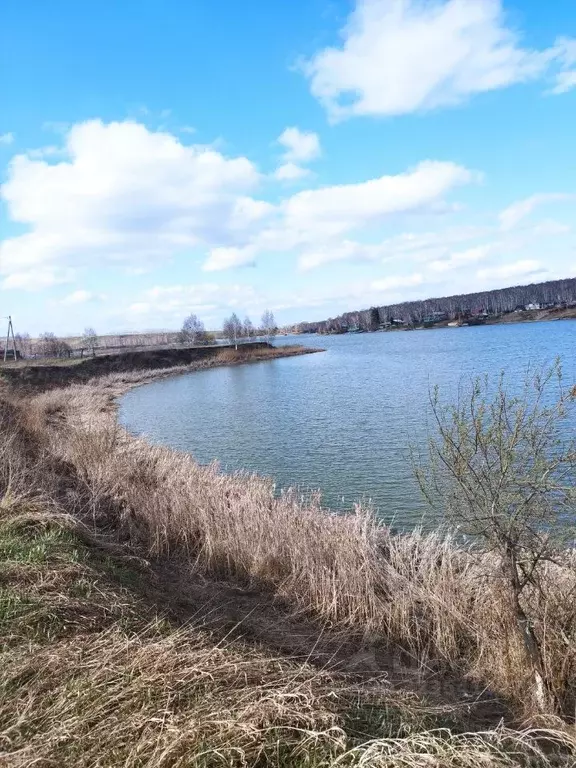 Участок в Кемеровская область, Беловский муниципальный округ, с. ... - Фото 1