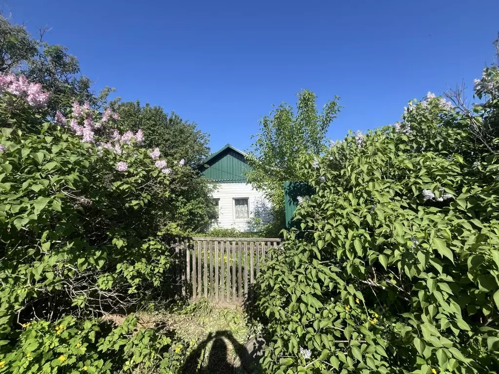 Дом в Омская область, Большеречье рп ул. Пушкина, 6 (81 м) - Фото 0