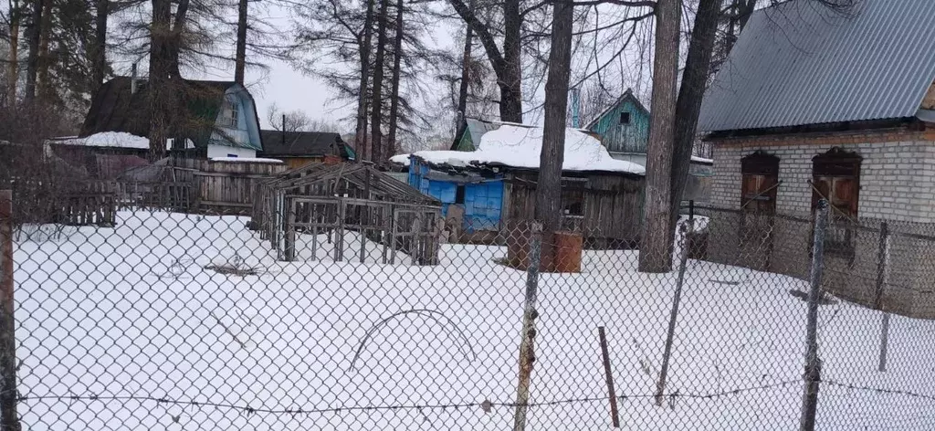 Участок в Курганская область, Курган Химик 1 СНТ, ул. Земляничная (7.0 ... - Фото 2