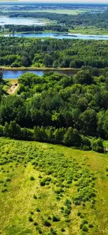 Участок в Московская область, Дмитровский городской округ, д. Базарово ... - Фото 0