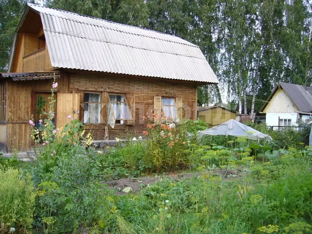 Дом в Новосибирская область, Новосибирский район, Новолуговской ... - Фото 1