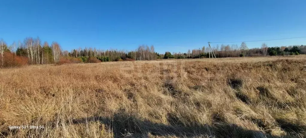 Участок в Свердловская область, Нижний Тагил Радужная ул., 26 (6.0 ... - Фото 1