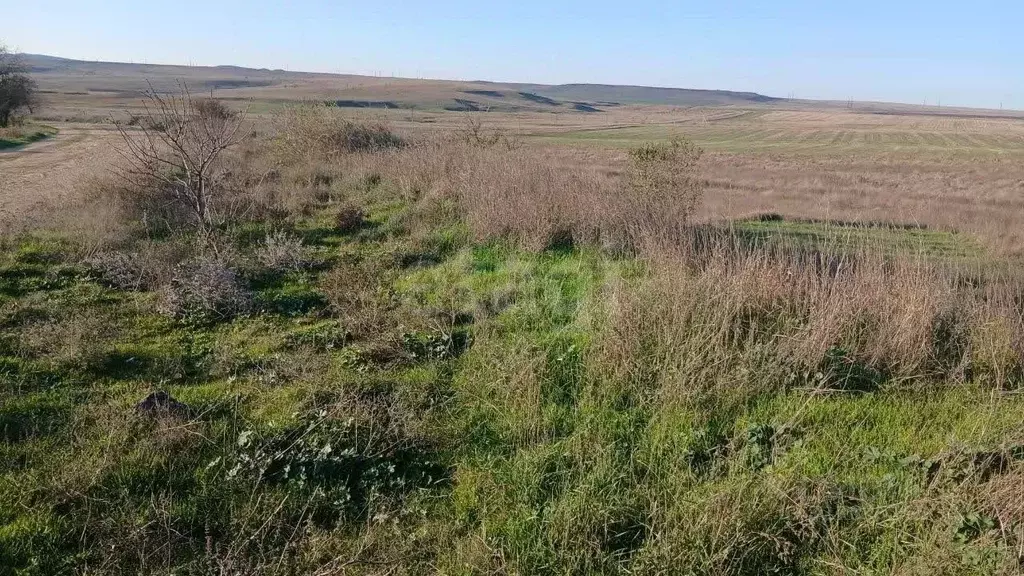 Участок в Крым, Ленинский район, Заветненское с/пос, с. Заветное ул. ... - Фото 1