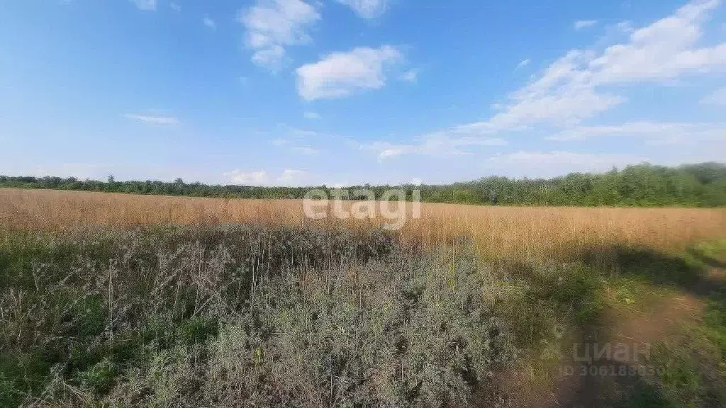 Участок в Белгородская область, Старооскольский городской округ, с. ... - Фото 1