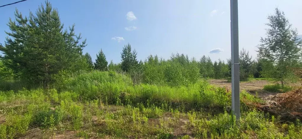Участок в Нижегородская область, Нижний Новгород с. Безводное,  (11.0 ... - Фото 0