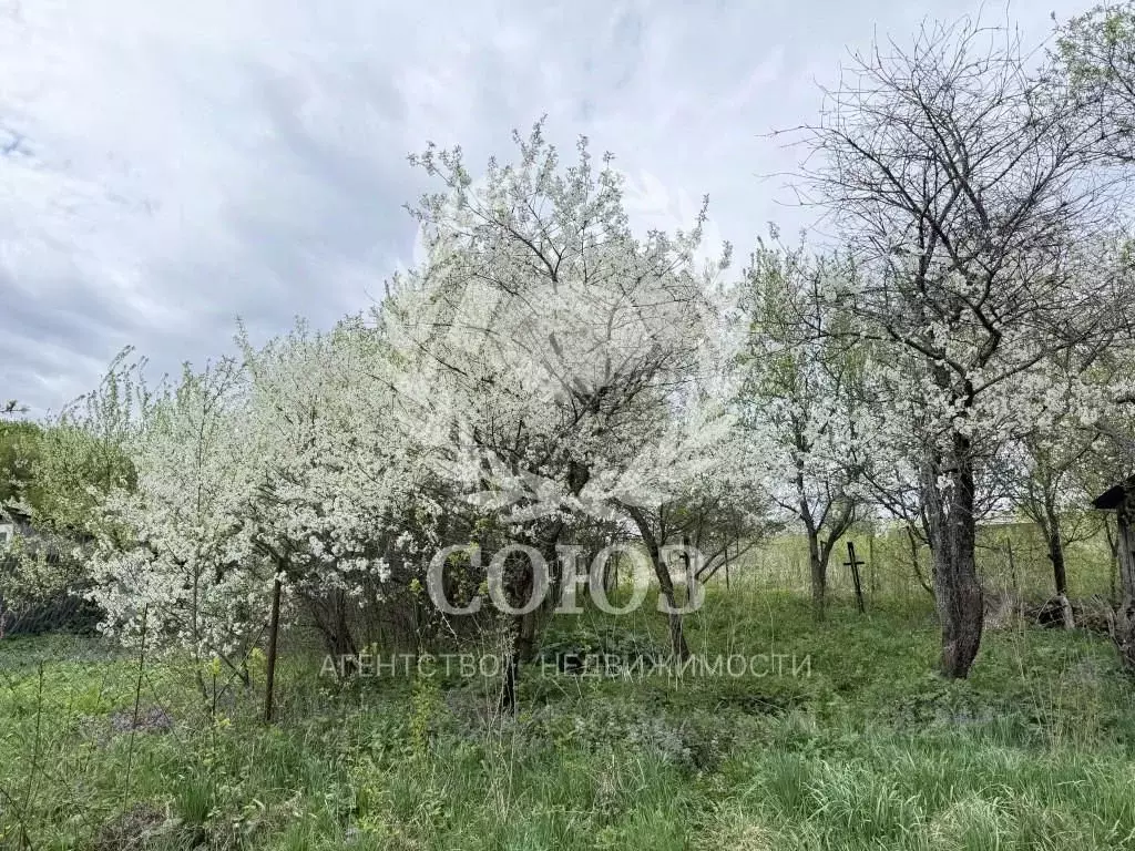 Участок в Калужская область, Малоярославецкий муниципальный округ, д. ... - Фото 1