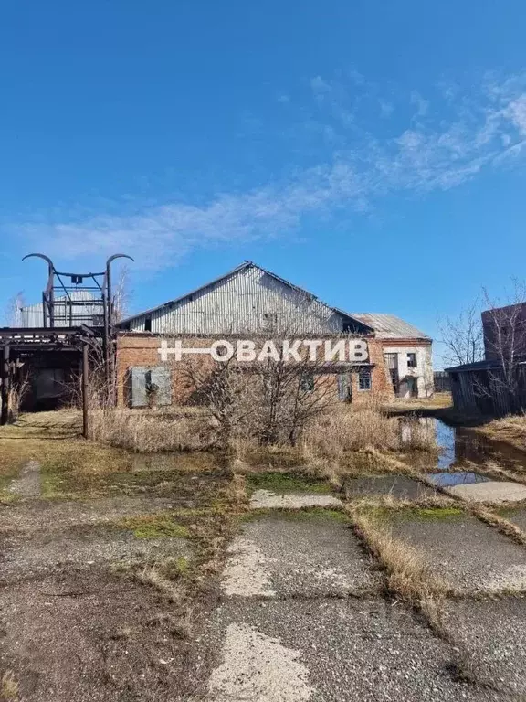 Производственное помещение в Новосибирская область, Каргат Советская ... - Фото 0