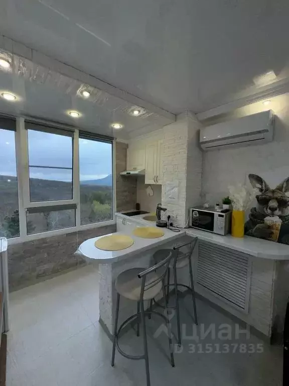 Студия Ставропольский край, Железноводск ул. Ленина, 8 (18.0 м) - Фото 0