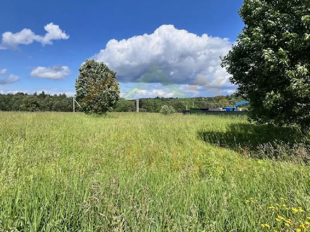 Продается участок в СНТ Рахманово - Фото 2