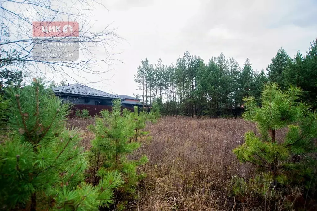 Участок в Рязанская область, Рязанский муниципальный округ, с. ... - Фото 2