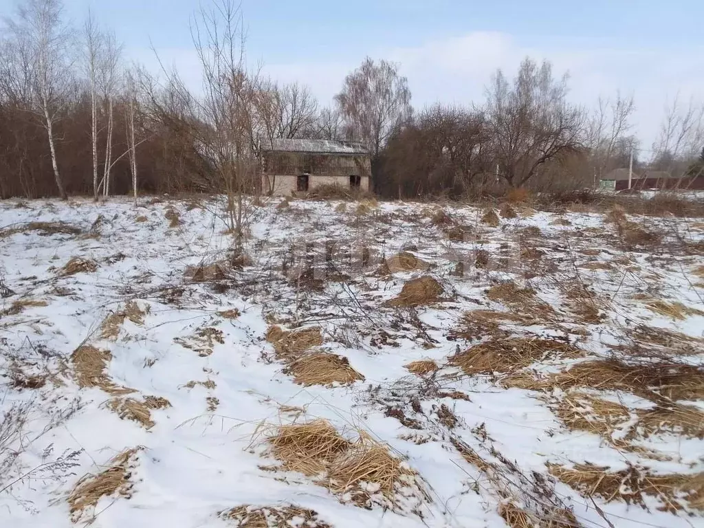 Участок в Брянская область, Брянский район, Мичуринское с/пос, д. ... - Фото 1