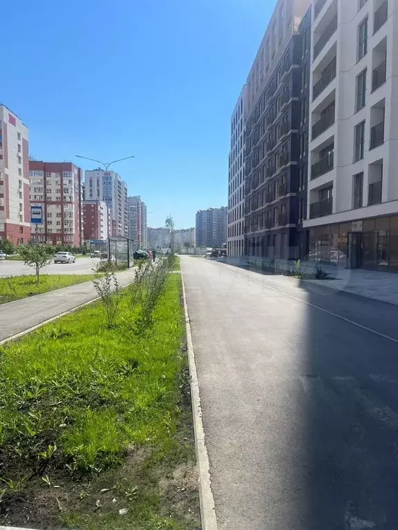 Свободного назначения, 50.5 м - Фото 1