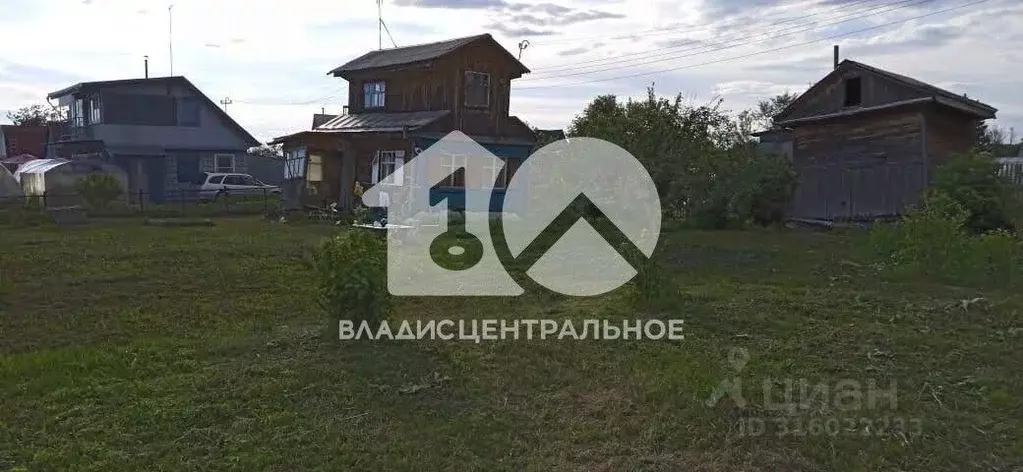 Участок в Новосибирская область, Коченевский район, Энергетик СНТ  ... - Фото 0