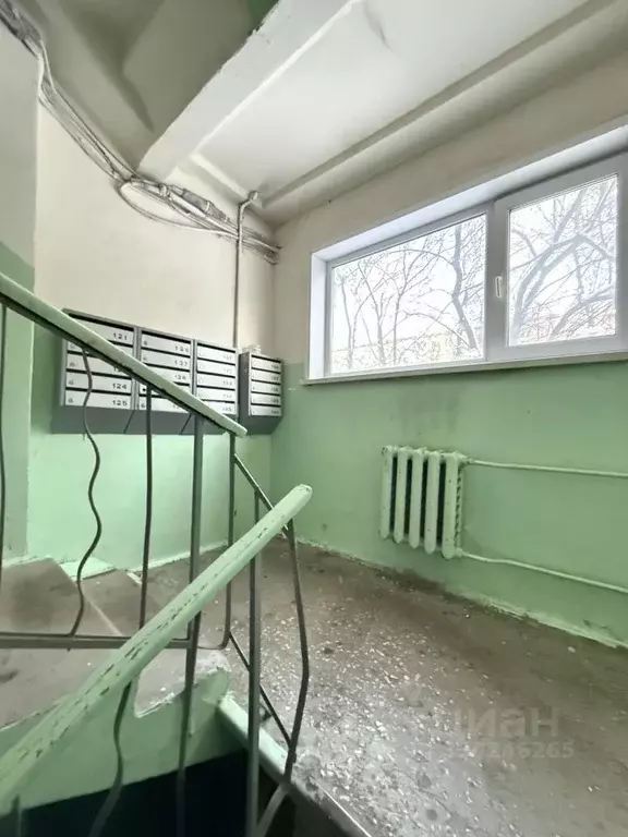 1-к кв. Свердловская область, Екатеринбург ул. Белинского, 220к9 (27.2 ... - Фото 1