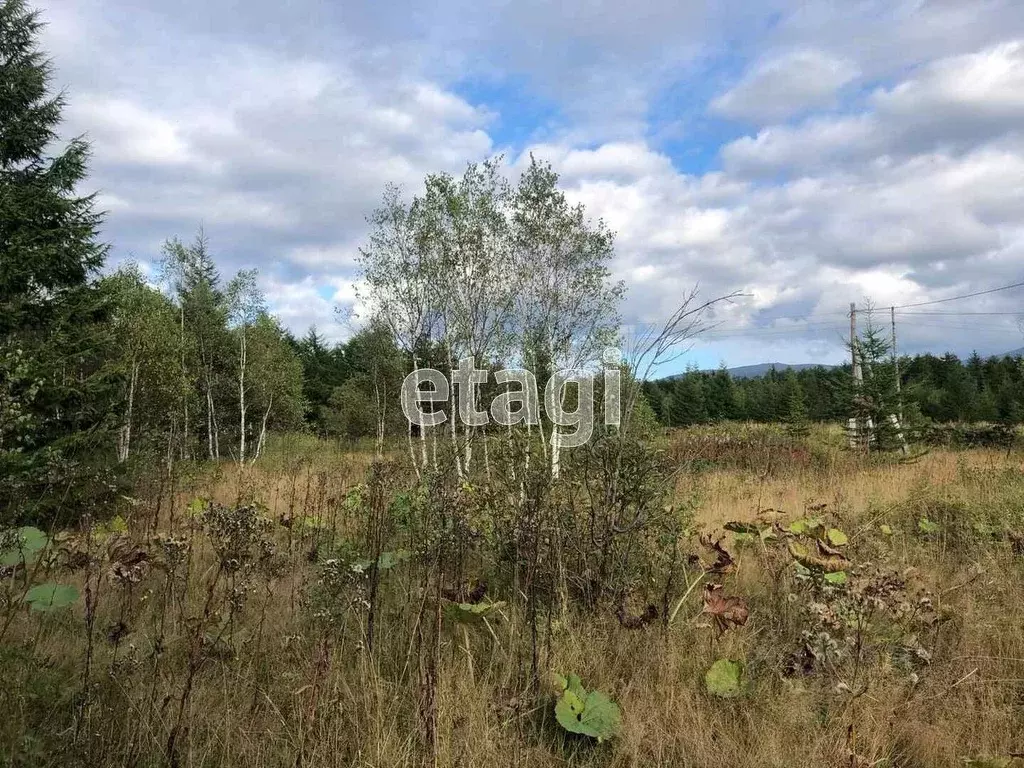 Участок в Сахалинская область, Южно-Сахалинск городской округ, с. ... - Фото 0