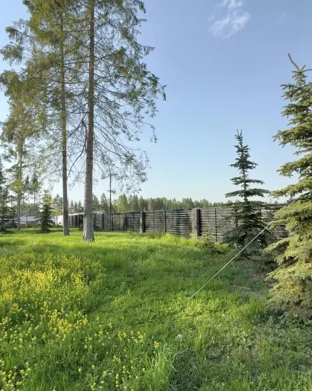 Участок в Московская область, Клин городской округ, Ели Эстейт ... - Фото 1