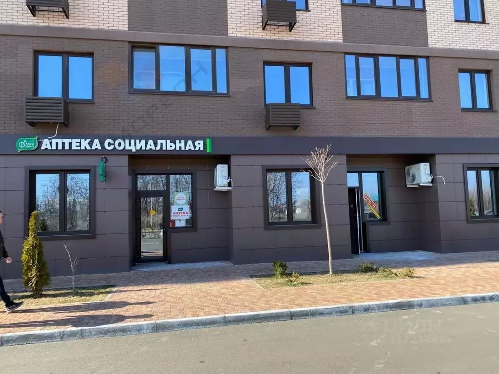 Торговая площадь в Краснодарский край, Краснодар ул. Скандинавская, ... - Фото 0