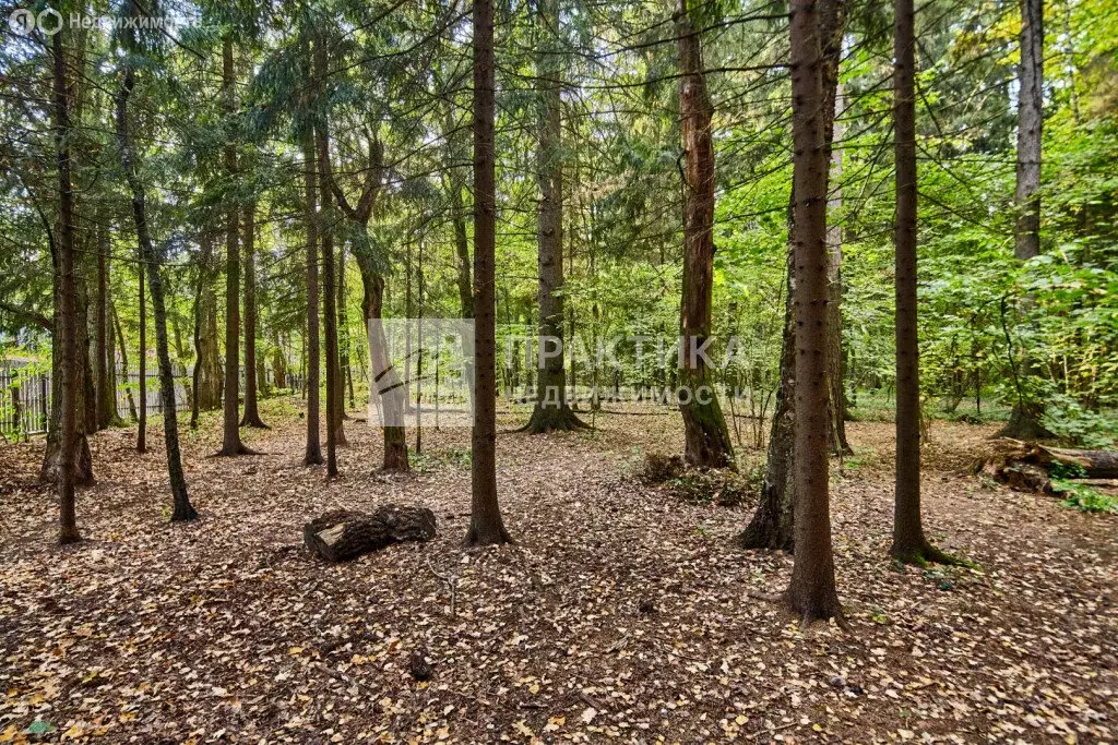 Участок в деревня Сабурово, Сиреневая улица, 1 (30 м) - Фото 1