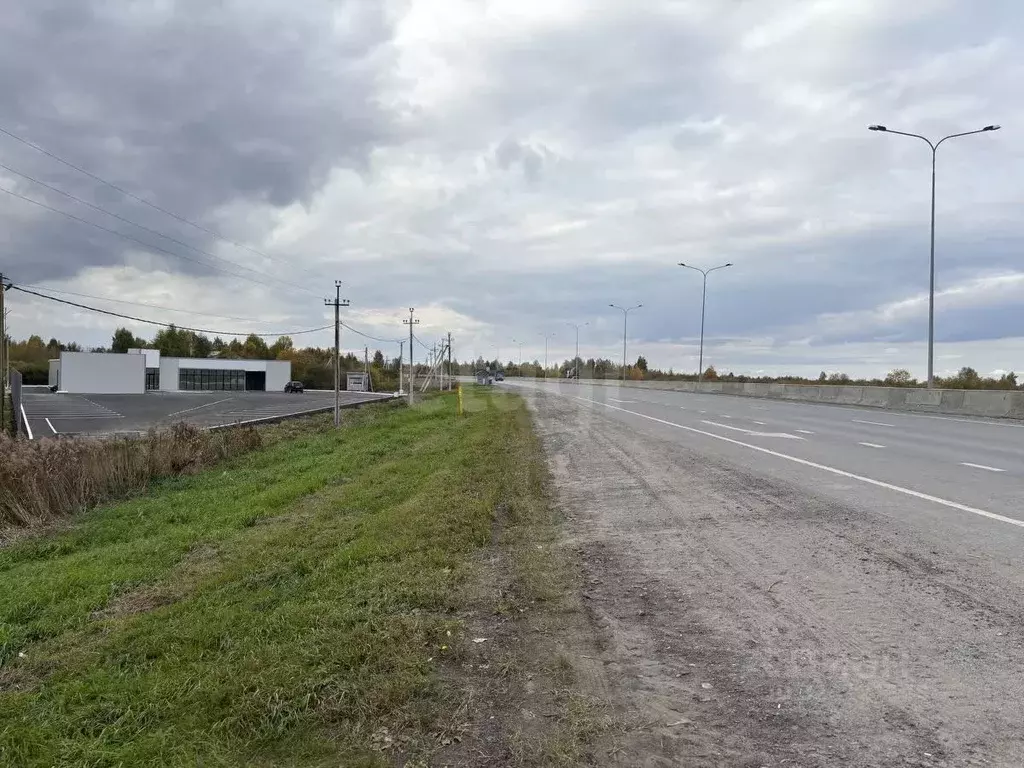 Участок в Тюменская область, Тюмень Дорожник садовое товарищество, ул. ... - Фото 1