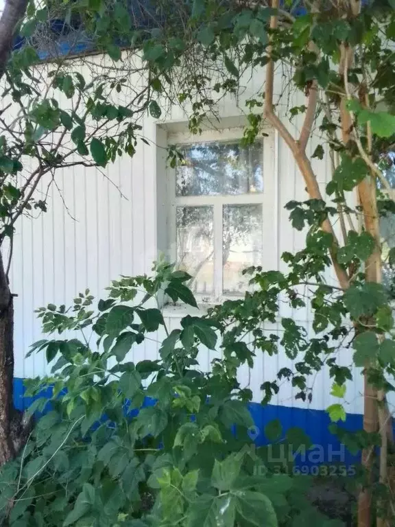 Дом в Белгородская область, Новооскольский муниципальный округ, с. ... - Фото 0