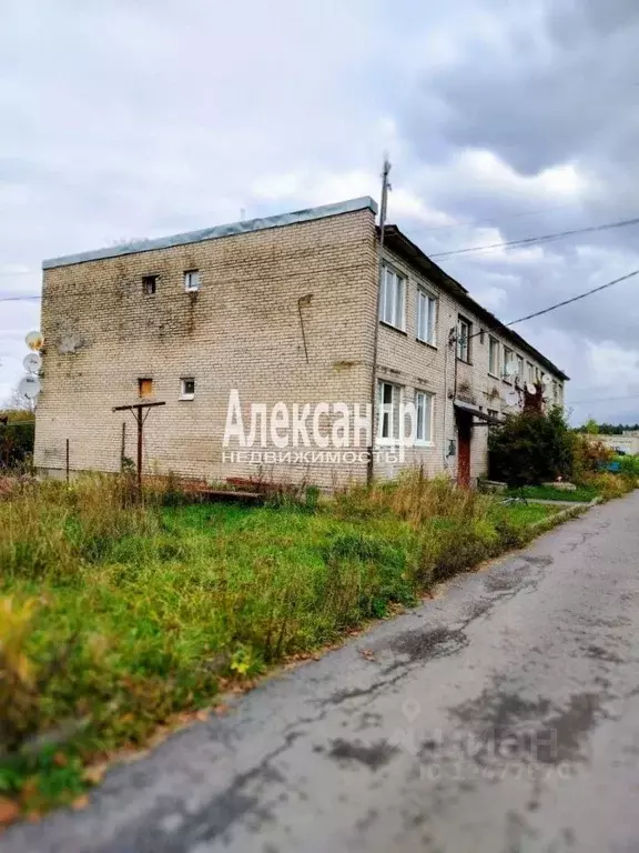 3-к кв. Ленинградская область, Выборгский район, Советское городское ... - Фото 1