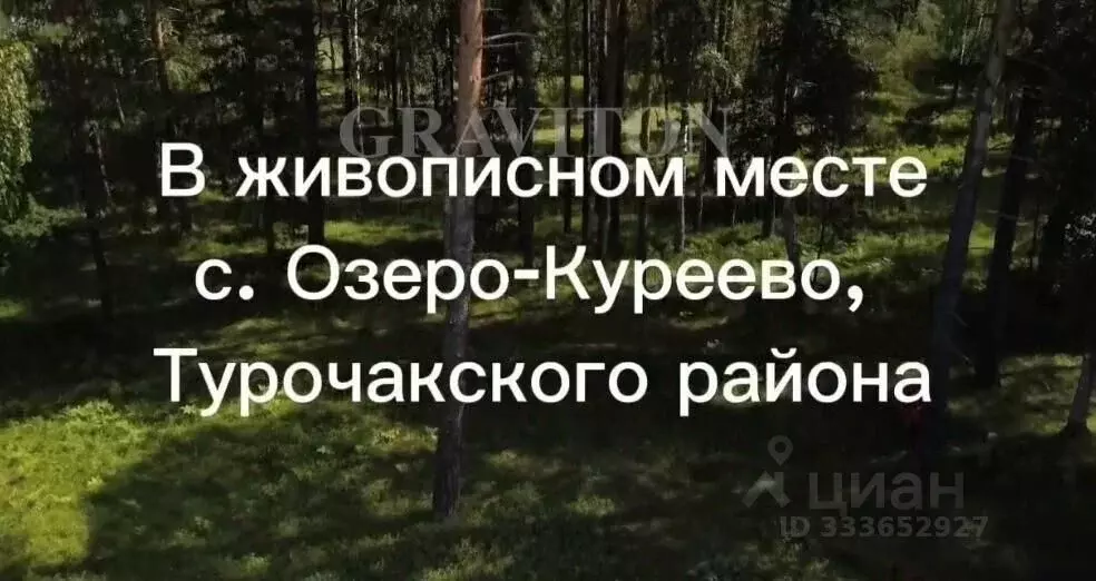 Участок в Алтай, Турочакский район, с. Озеро-Куреево Центральная ул., ... - Фото 2