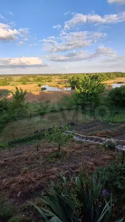 Дом 46,6 м на участке 19,5 сот. - Фото 1