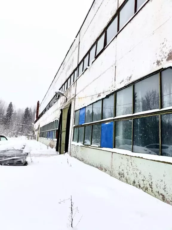 Производственное помещение в Ленинградская область, Кириши Волховское ... - Фото 1