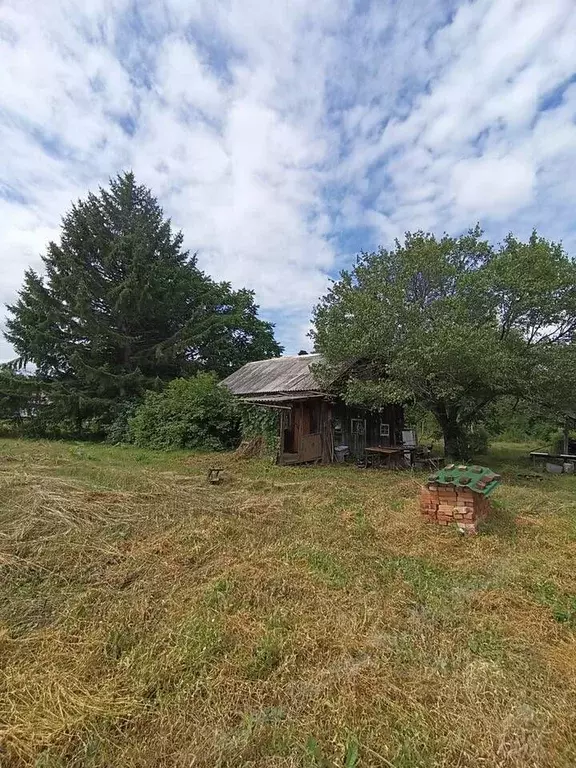 Дом в Еврейская автономная область, Биробиджанский район, с. ... - Фото 1