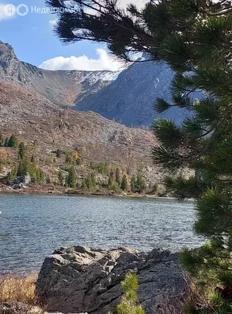 Участок в село Балыкча, Центральная улица, 1 (80 м) - Фото 2