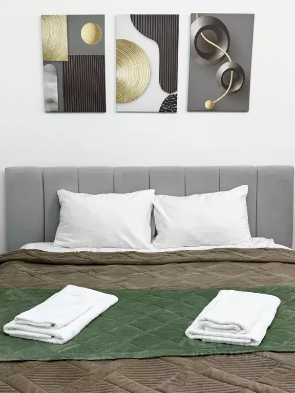 Студия Московская область, Ленинский городской округ, д. Коробово ул. ... - Фото 1