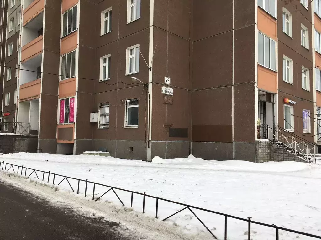 Торговая площадь в Санкт-Петербург просп. Кузнецова, 22к1 (19 м) - Фото 1