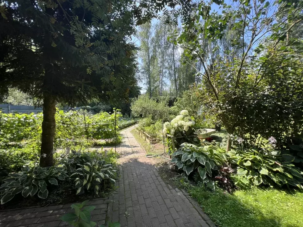 Участок в Московская область, Истра муниципальный округ, д. Аносино ... - Фото 1