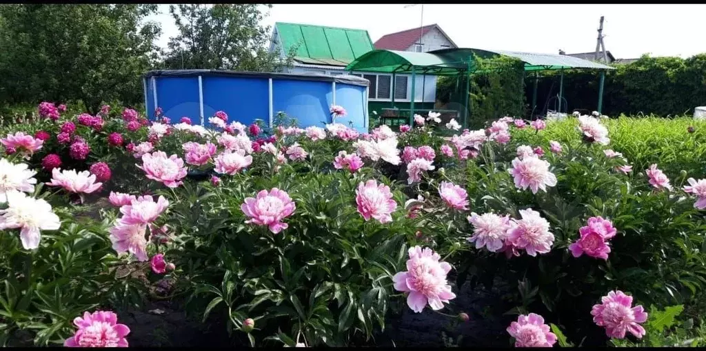 Дача 40 м на участке 12 сот. - Фото 1