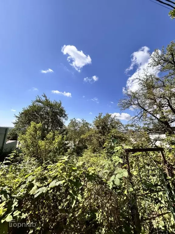 Участок в Ставропольский край, Ставрополь Дружба-2 садовое ... - Фото 1