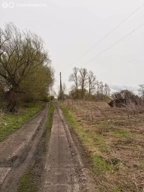 Участок в деревня Прилепы, Садовая улица (25 м) - Фото 2
