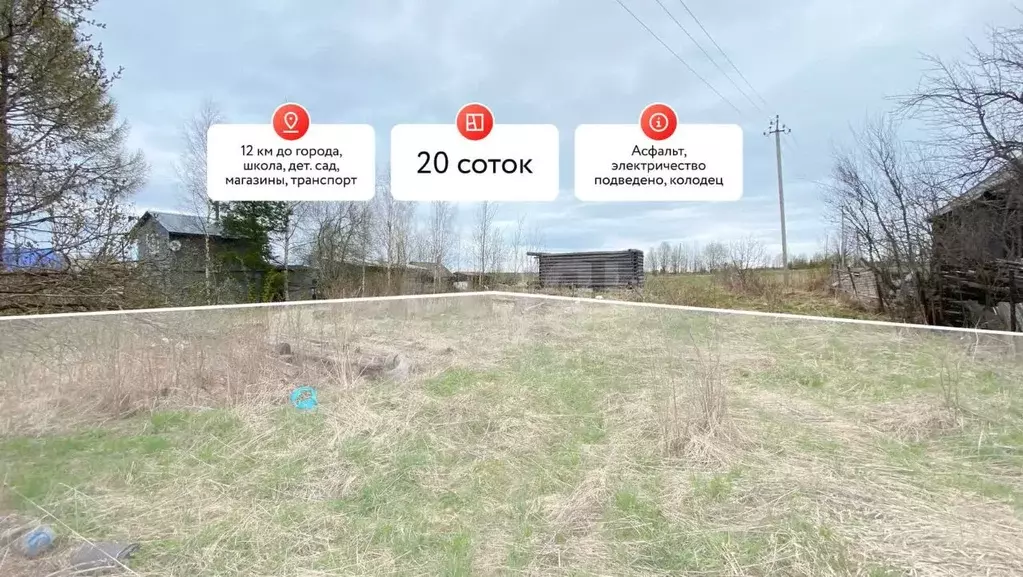 Участок в Костромская область, Шарьинский район, Шангское с/пос, с. ... - Фото 1