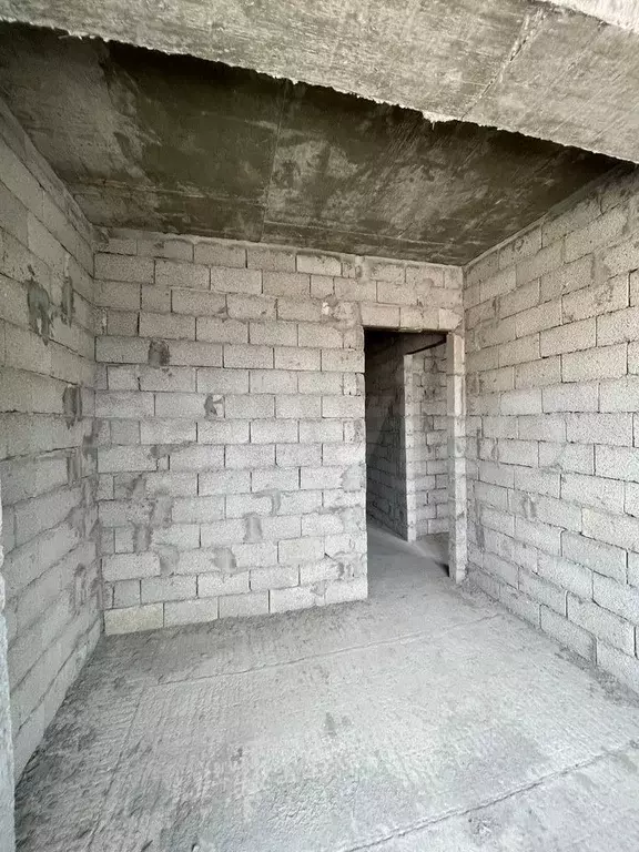 1-к. квартира, 55 м, 2/12 эт. - Фото 1