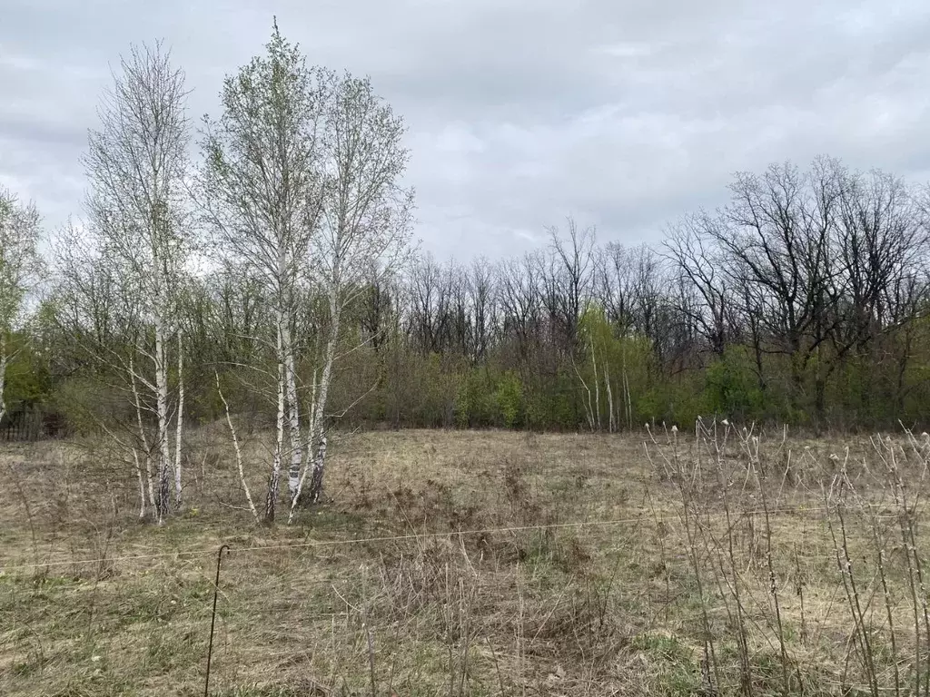 Участок в Башкортостан, Ишимбай ул. Титова (15.0 сот.) - Фото 2