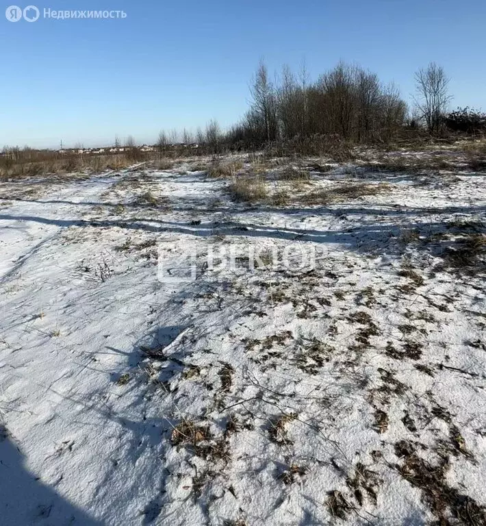 Участок в Иваново, Дальняя Балинская улица, 82 (8 м) - Фото 0