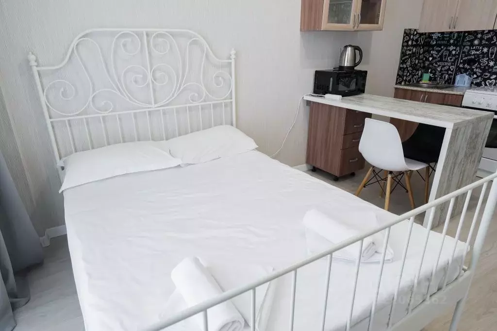 1-к кв. Санкт-Петербург Пулковское ш., 14с6 (24.0 м) - Фото 2