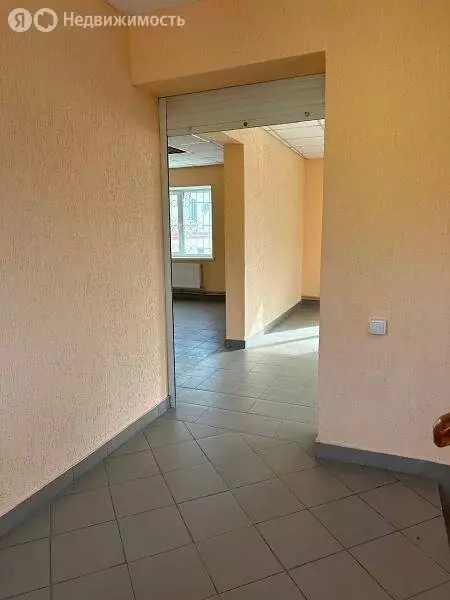 Помещение свободного назначения (232 м) - Фото 1