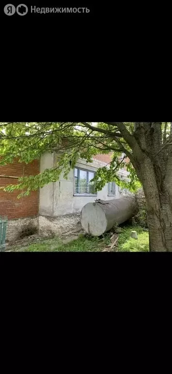Дом в деревня Городное, улица Дружбы, 7 (63.2 м) - Фото 2