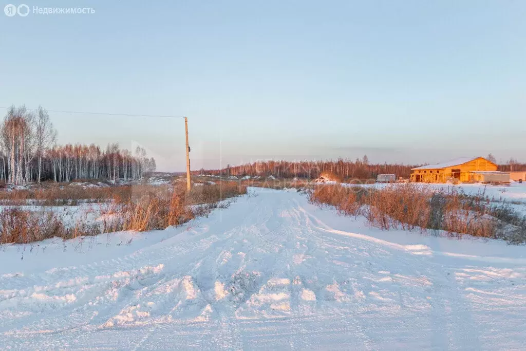 Участок в Тюменская область, Нижнетавдинский муниципальный округ, ... - Фото 1