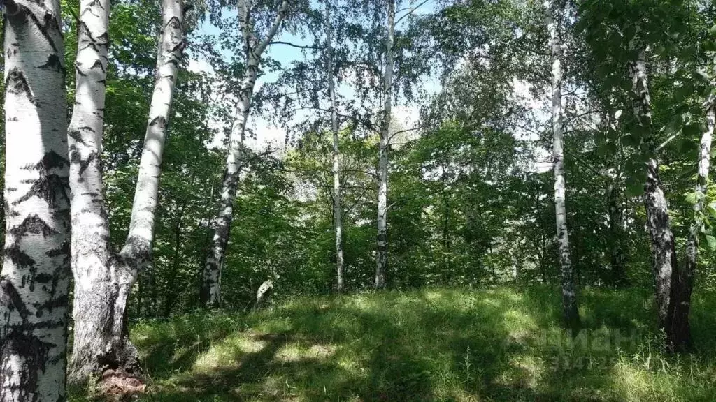Участок в Нижегородская область, Нижний Новгород д. Голошубиха, ул. ... - Фото 0