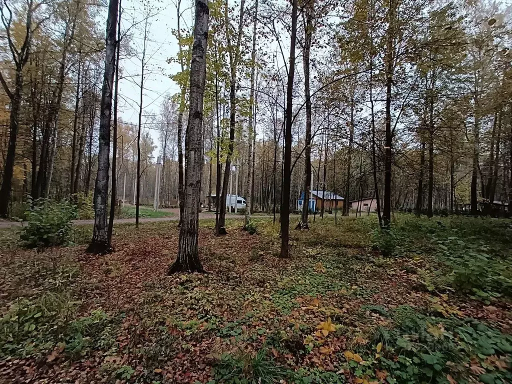Участок в Московская область, Мытищи городской округ, д. Вешки ул. ... - Фото 2