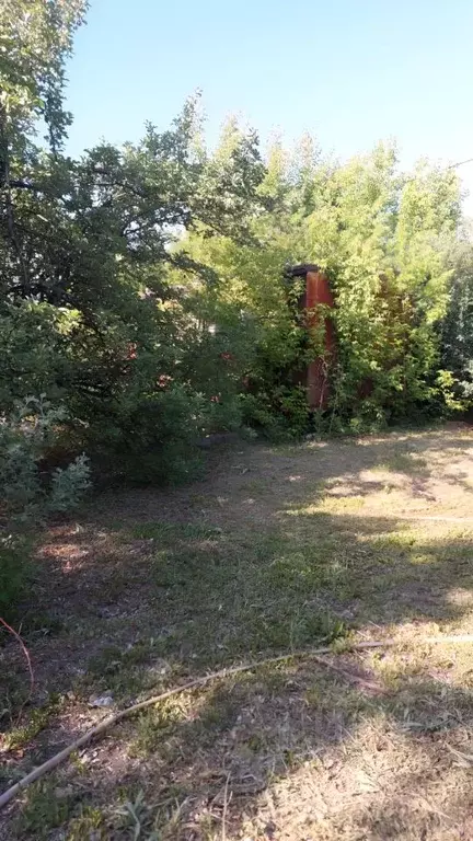 Участок в Курганская область, Кетовский муниципальный округ, с. ... - Фото 2