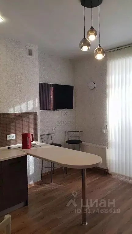 1-к кв. Новосибирская область, Новосибирск ул. Шевченко, 19/1к4 (40.5 ... - Фото 1