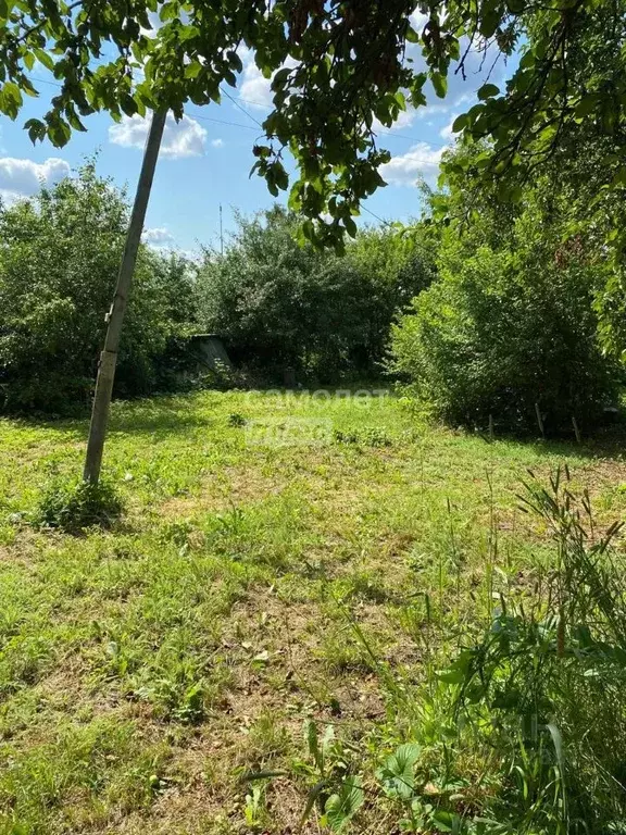 Участок в Москва д. Расторопово, Дубрава СНТ, 10 (6.5 сот.) - Фото 1